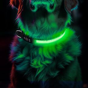 Light Up Dog Collar, Rechargeable LED Pet Collar Ultra Bright in Dark 3 Flash Glow, Adjustable Necklace High Visibility Safety Night Walking Waterproof for Small Medium Large Breed Dogs, Green, M