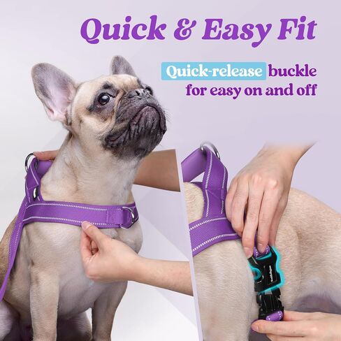 rabbitgoo Dog Harness No Pull, Quick Fit for Medium Sized Dog with Soft Padded Handle, Chest Adjustable Reflective Pet Vest, No Choke Escape Proof for Walking Training, Red M in Kuwait
