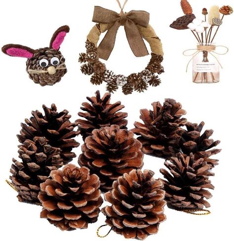 JOHOUSE 18 PCS Natural Pine Cones, Christmas Rustic Pinecones Fall Garland Halloween Thanksgiving Decorations, Christmas Tree Fall Ornaments, Winter Vase Filler in Kuwait