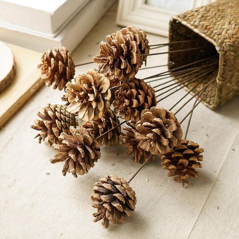JOHOUSE 18 PCS Natural Pine Cones, Christmas Rustic Pinecones Fall Garland Halloween Thanksgiving Decorations, Christmas Tree Fall Ornaments, Winter Vase Filler in Kuwait