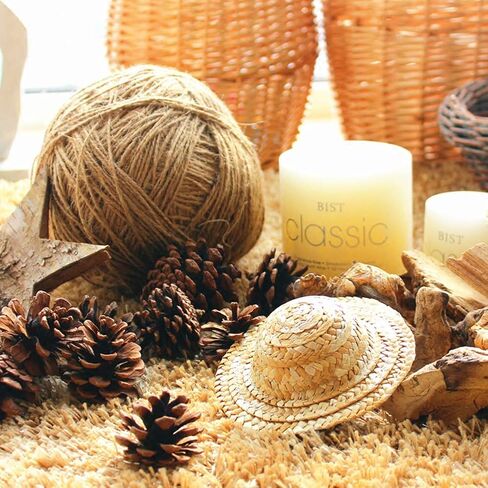 JOHOUSE 18 PCS Natural Pine Cones, Christmas Rustic Pinecones Fall Garland Halloween Thanksgiving Decorations, Christmas Tree Fall Ornaments, Winter Vase Filler in Kuwait