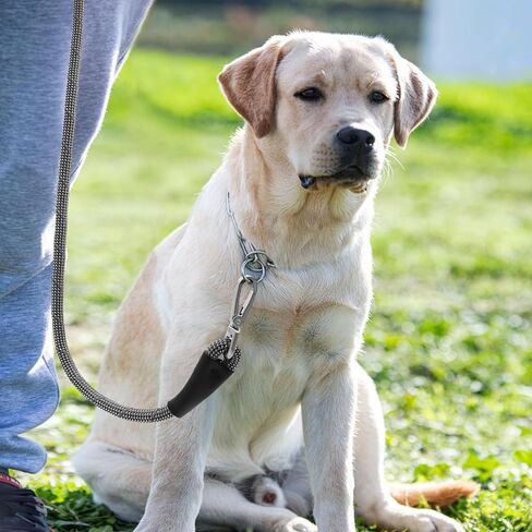 Dog Leash for Large Dogs Heavy Duty 4FT x 1/2" Highly Reflective Threads Dog Leash Chew-Resistant Nylon Leash Padded Handle Strong Rope Leash Training Leash for Medium Large Dogs Night Walking in Saudi Arabia