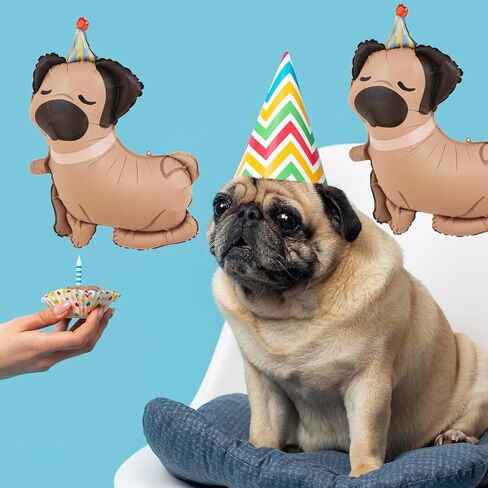 5Pcs Dog Birthday Balloons Dachshund Shaped Puppy Dogs Foil Mylar Balloons for Pet Puppy Dog Animal Birthday Lets Pawty Themed Pet Party Decoration Supplies in Kuwait