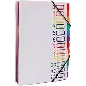 12 Pocket Expanding File Folder Project Sorter Heavy Duty Monthly Plastic Expandable Folder Organizer, A4 Letter Size, Multicolor(Black 004)