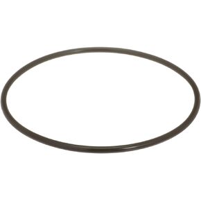 Delphi FA10036 Fuel Pump Tank Seal