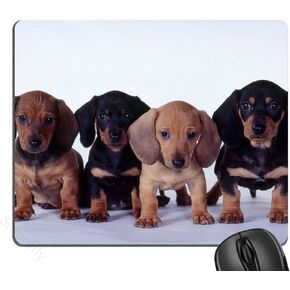dachshund puppies Mouse Pad, Mousepad (Dogs Mouse Pad)