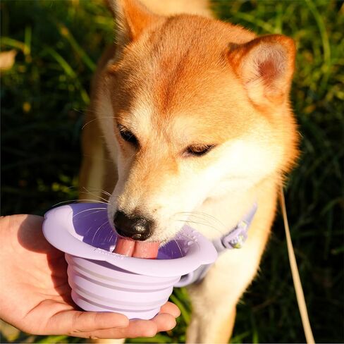 Silicone Collapsible Dog Bowls, Free Dishwasher Safe, Portable Foldable Expandable Travel Bowl, Food Water Feeding Cup Dish for Dogs Cats (Pink, M) in Saudi Arabia