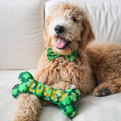 Huxley & Kent Bow Tie for Pets | Lucky Charm (Large) | St. Patricks Day Bow Tie Collar Attachment | Fun Bow Ties for Dogs & Cats | Cute, Comfortable, and Durable | H&K Bow Tie in Saudi Arabia