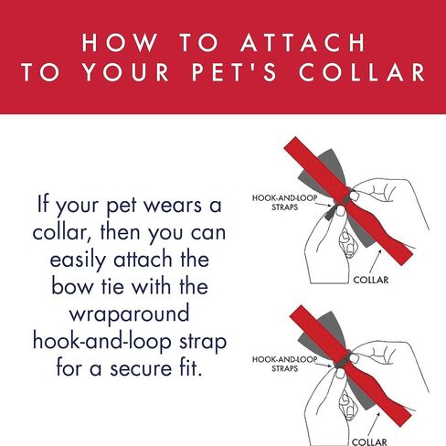 Huxley & Kent Bow Tie for Pets | Lucky Charm (Large) | St. Patricks Day Bow Tie Collar Attachment | Fun Bow Ties for Dogs & Cats | Cute, Comfortable, and Durable | H&K Bow Tie in Saudi Arabia