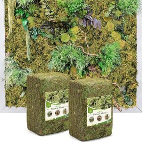 Alphatool 70oz Large Capacity Green Moss for Crafts - Dried Natural Forest Moss for Indoor Artificial Potted Plants, Micro-Landscape, Hamsters, Home Table Centerpieces Filler Decor