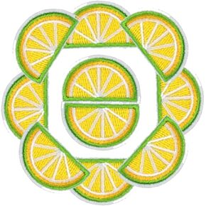 YAME 10Pcs Iron On Embroidery Lemon Patches Fruits Stickers Fabric Appliques Garments Badge