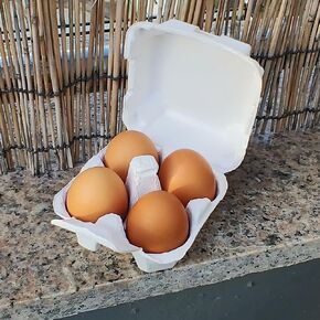 Blank 4 Count Egg Cartons - 20 pack - Box Tray Holder Container - Crate Paper Pulp Cardboard Flats Craft Plain Extra