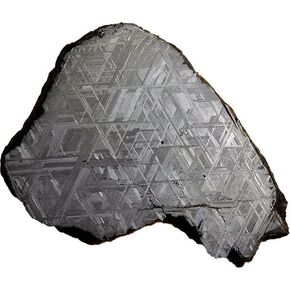 Muonionalusta Meteorite - 15-19 جرام