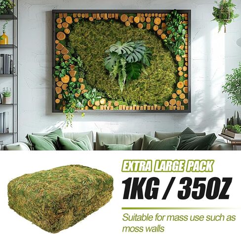 Alphatool 5oz Natural Green Moss for Crafts Beginners - Starter Moss for Plants Indoor, Artificial Fairy Gardens, Mini Mosswall, Glass Terrariums, Filling Fake Plants, Home Decoration in Kuwait