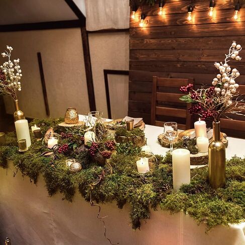 Alphatool 5oz Natural Green Moss for Crafts Beginners - Starter Moss for Plants Indoor, Artificial Fairy Gardens, Mini Mosswall, Glass Terrariums, Filling Fake Plants, Home Decoration in Kuwait