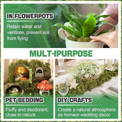 Alphatool 5oz Natural Green Moss for Crafts Beginners - Starter Moss for Plants Indoor, Artificial Fairy Gardens, Mini Mosswall, Glass Terrariums, Filling Fake Plants, Home Decoration in Kuwait