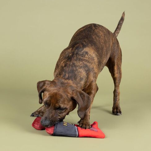 Fringe Studio "Fiesta Saurus Plush Dog Toy, Pet Shop Collection (314338) in Saudi Arabia