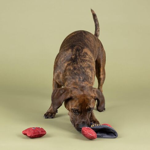 Fringe Studio "Fiesta Saurus Plush Dog Toy, Pet Shop Collection (314338) in Saudi Arabia