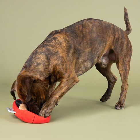 Fringe Studio "Fiesta Saurus Plush Dog Toy, Pet Shop Collection (314338) in Saudi Arabia