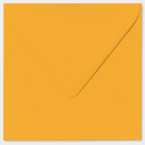 Funny Birthday Cards for Women Men - Music You Used To Drink To - Rude Birthday Cards for Him Her Mom Dad Papa Pops Brother Sister Friend Coworker, 5.7 x 5.7 Inch Joke Humor Bday Greeting Cards in Saudi Arabia