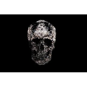 Rhinestop Black Skull Rhinestone Iron On Heat Transfer, silver and black skull , Hot Fix Skull Transfer