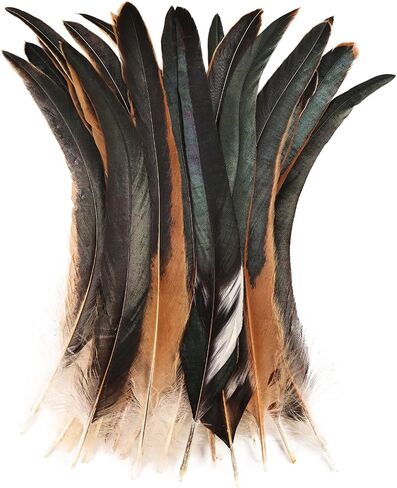 Colorful Rooster Tail Feathers-50PC 10-12inch Natural Long Rooster Tail Feathers Bulk (Mixed Color) in Saudi Arabia
