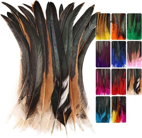 Colorful Rooster Tail Feathers-50PC 10-12inch Natural Long Rooster Tail Feathers Bulk (Mixed Color) in Saudi Arabia
