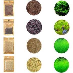 4 Pack Aquarium Plant S.e.e.d Set, not Artificial plasticl Plant. Real Grass Tank Decor Replacement for Resin or Plastic Grass-000002