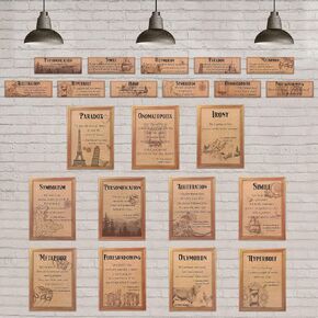 Zonon 22 Pieces Literature Posters Classroom Decorations Elements of English Language and Literature Grammar Educational Posters English Art Print for Middle High School (Vintage)