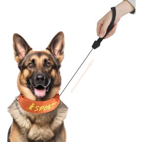 2 in 1 Dog Collar with Retractable Dog Leash, Adjustable Dog Collar for Medium to Large Dogs