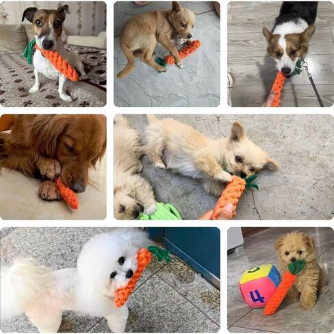 2ME 5 PCS Carrot Dog Rope Toys for Dogs, Durable Chew Toys for Aggressive Chewers, Entertainment & Interaction, Teeth Cleaning and Chewing, All-Cotton in Kuwait