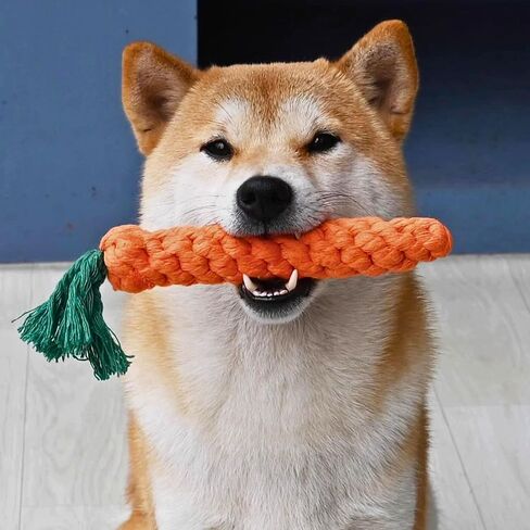 2ME 5 PCS Carrot Dog Rope Toys for Dogs, Durable Chew Toys for Aggressive Chewers, Entertainment & Interaction, Teeth Cleaning and Chewing, All-Cotton in Kuwait