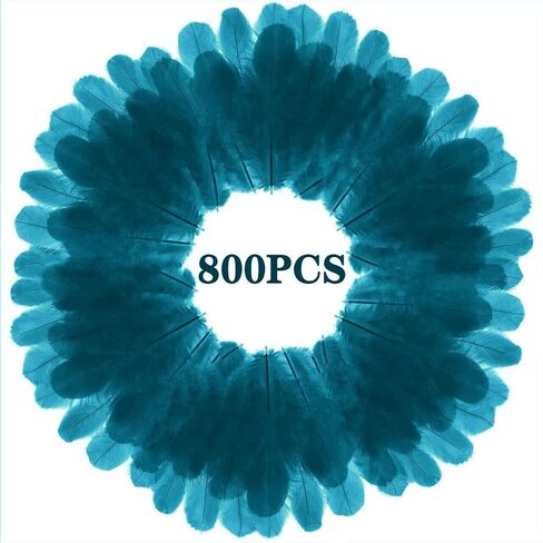 800Pcs Black Rooster Feathers 3-5-inch Bulk Feathers for Crafting Kindergarten DIY Crafts, Wedding, Family Party Decorations, Dream Catcher Supplies, Natural Feathers in Kuwait