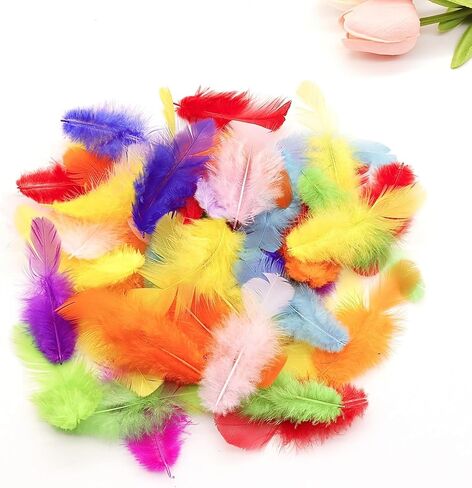 800Pcs Black Rooster Feathers 3-5-inch Bulk Feathers for Crafting Kindergarten DIY Crafts, Wedding, Family Party Decorations, Dream Catcher Supplies, Natural Feathers in Kuwait