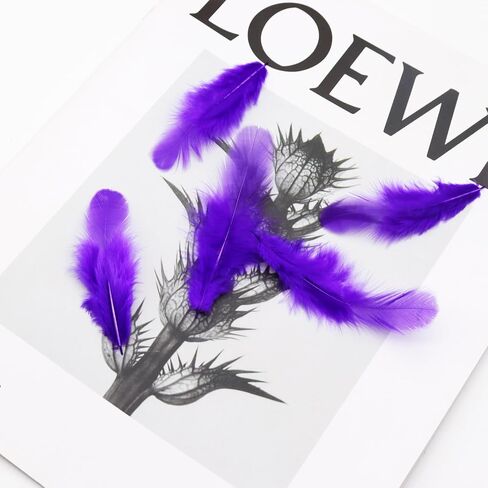 800Pcs Black Rooster Feathers 3-5-inch Bulk Feathers for Crafting Kindergarten DIY Crafts, Wedding, Family Party Decorations, Dream Catcher Supplies, Natural Feathers in Kuwait