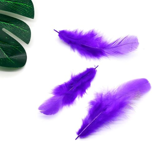 800Pcs Black Rooster Feathers 3-5-inch Bulk Feathers for Crafting Kindergarten DIY Crafts, Wedding, Family Party Decorations, Dream Catcher Supplies, Natural Feathers in Kuwait