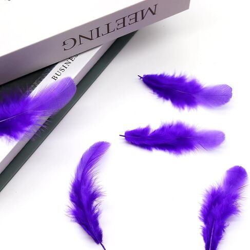 800Pcs Black Rooster Feathers 3-5-inch Bulk Feathers for Crafting Kindergarten DIY Crafts, Wedding, Family Party Decorations, Dream Catcher Supplies, Natural Feathers in Kuwait