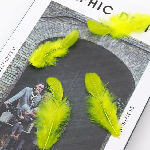 800Pcs Black Rooster Feathers 3-5-inch Bulk Feathers for Crafting Kindergarten DIY Crafts, Wedding, Family Party Decorations, Dream Catcher Supplies, Natural Feathers in Kuwait