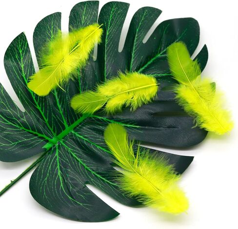 800Pcs Black Rooster Feathers 3-5-inch Bulk Feathers for Crafting Kindergarten DIY Crafts, Wedding, Family Party Decorations, Dream Catcher Supplies, Natural Feathers in Kuwait