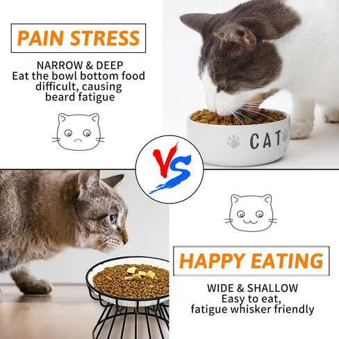 BNOSDM 2 Pcs Raised Cat Food Bowls, Shallow Ceramic Cat Dishes with Metal Stands Elevated Pet Feeder Dry/Wet Food for Indoor Kitten Kitty in Saudi Arabia