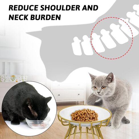 BNOSDM 2 Pcs Raised Cat Food Bowls, Shallow Ceramic Cat Dishes with Metal Stands Elevated Pet Feeder Dry/Wet Food for Indoor Kitten Kitty in Saudi Arabia