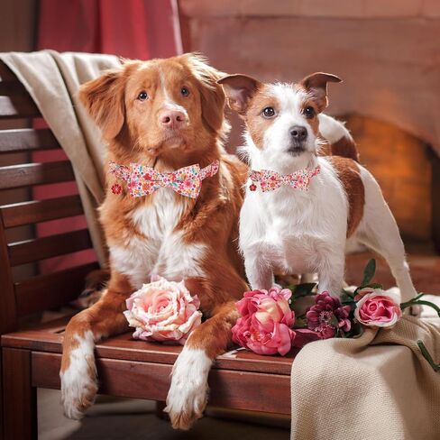 ADOGGYGO Floral Dog Collar with Bow, Red Rose Flower Dog Bowtie Collar with Metal Buckle, Adjustable Pet Floral Collars for Small Dogs (Small) in Saudi Arabia