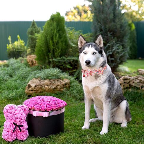 ADOGGYGO Floral Dog Collar with Bow, Red Rose Flower Dog Bowtie Collar with Metal Buckle, Adjustable Pet Floral Collars for Small Dogs (Small) in Saudi Arabia