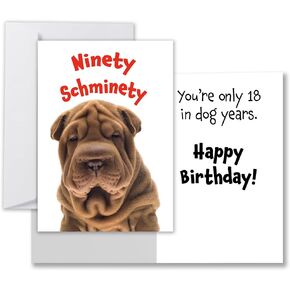 Allynn's Funny Happy 80th Birthday Card for Men or Women