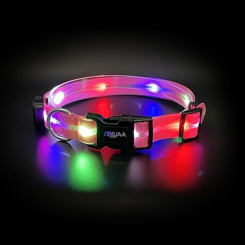 Light up Dog Collars, LED Dog Collar Light, USB Rechargeable Bright Flashing Dog Collar with Waterproof, Lighted Safety Collar for Walking at Night for Small Medium Large Dogs (Blue) in Kuwait