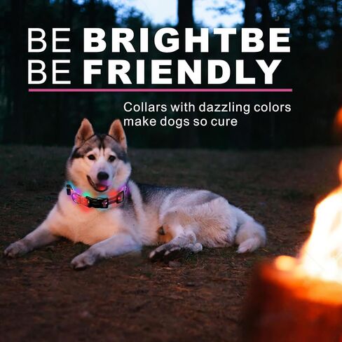 Light up Dog Collars, LED Dog Collar Light, USB Rechargeable Bright Flashing Dog Collar with Waterproof, Lighted Safety Collar for Walking at Night for Small Medium Large Dogs (Blue) in Kuwait