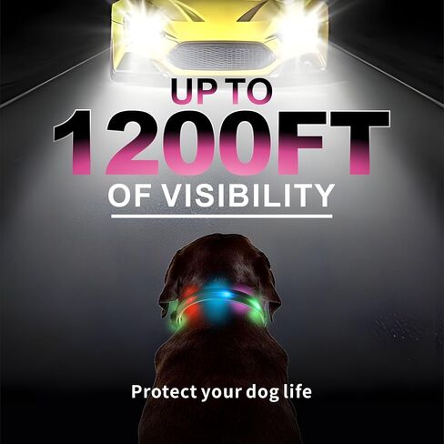 Light up Dog Collars, LED Dog Collar Light, USB Rechargeable Bright Flashing Dog Collar with Waterproof, Lighted Safety Collar for Walking at Night for Small Medium Large Dogs (Blue) in Kuwait