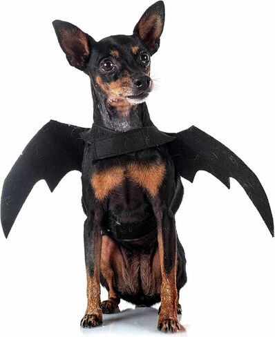 أزياء Quv Halloween للكلاب ، أجنحة الخفافيش للحيوانات الأليفة ، زخرفة حفلات Cosplay Cosplay Cosplay Cosplay للكلب الصغير in Saudi Arabia