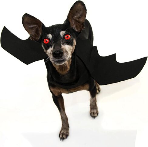 أزياء Quv Halloween للكلاب ، أجنحة الخفافيش للحيوانات الأليفة ، زخرفة حفلات Cosplay Cosplay Cosplay Cosplay للكلب الصغير in Saudi Arabia