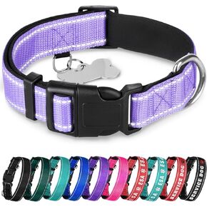 TECEUM Reflective Pet Collar – Lavender – M – Extra Soft Padding – Basic Nylon Dog Collar – Quick Release Buckle – Fits Small, Medium and Large Dogs, Puppies, Cats – ESA & Service Dog Options